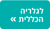 גלריה כללית